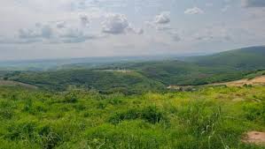 Mr Shabani Ntibonera  Djuma